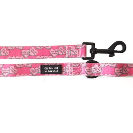 Dog Lead - Cute But Psycho