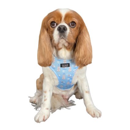 Adjustable Dog Harness - Ahoy Captain