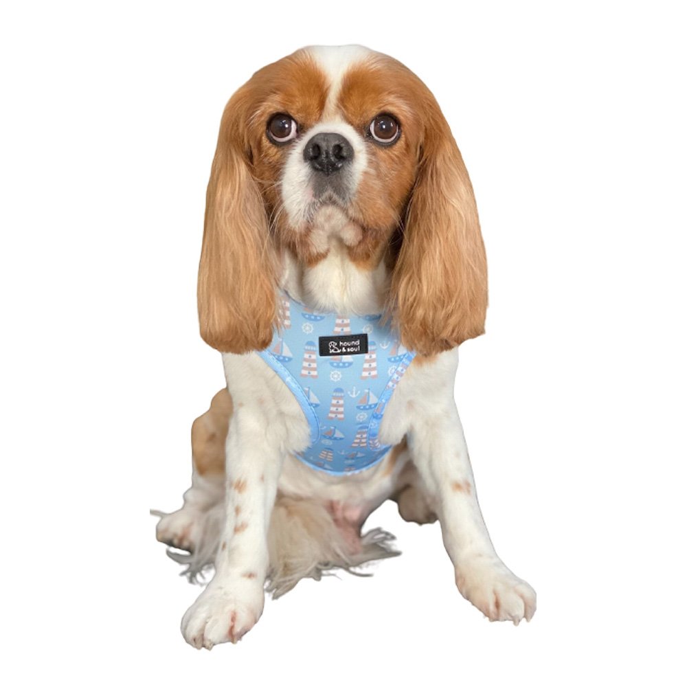 Adjustable Dog Harness - Ahoy Captain