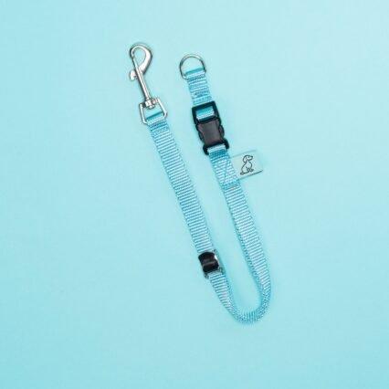 Dog Noose Tether - Baby Blue