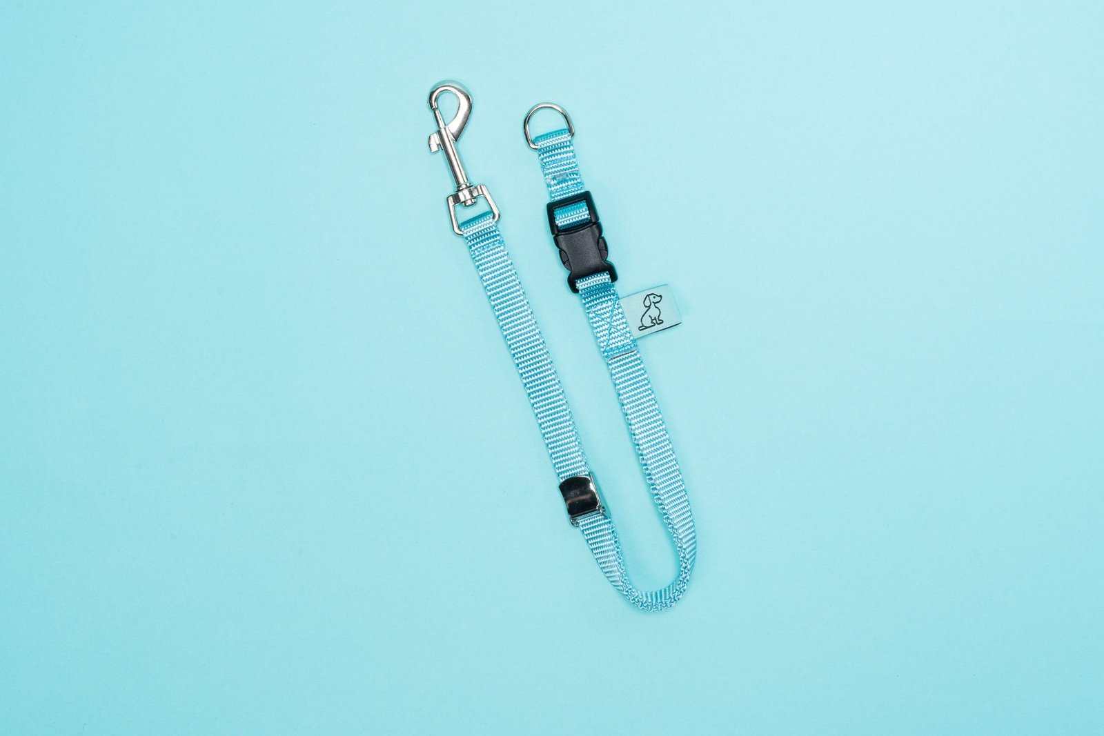 Dog Noose Tether - Baby Blue