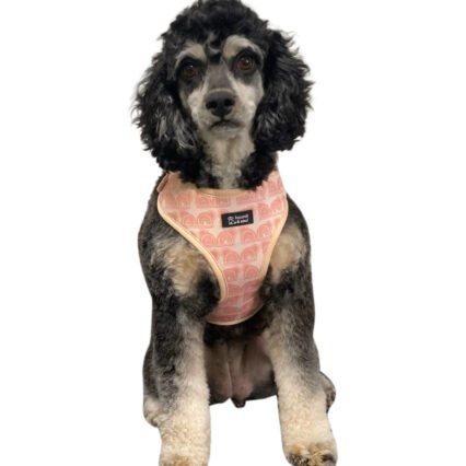 Adjustable Dog Harness - Boho Hound