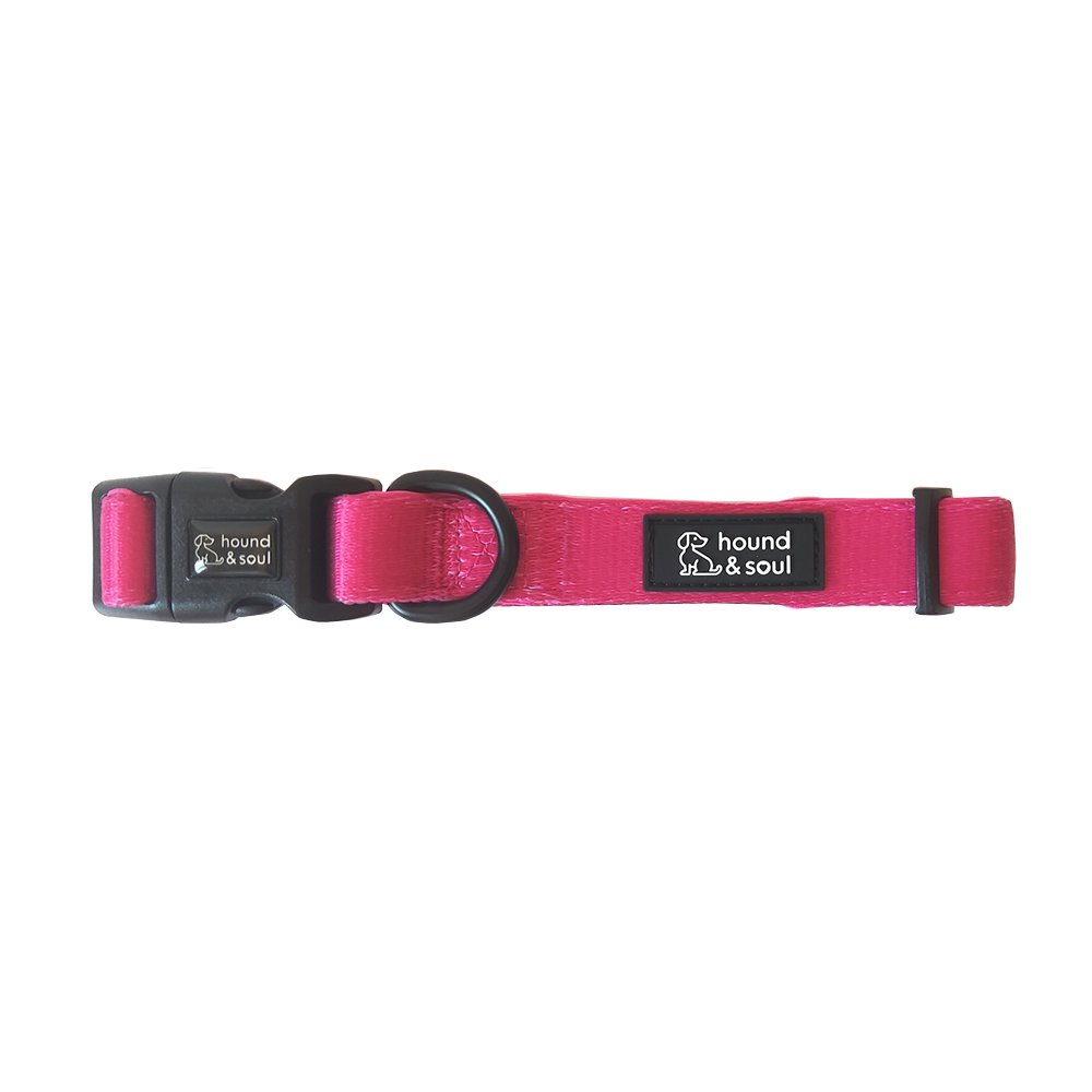 Adjustable Dog Harness Set - Pop Pink - Image 4