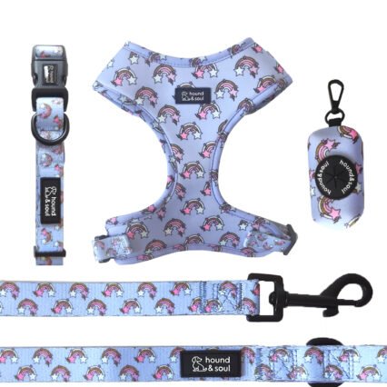 Adjustable Dog Harness Set - Baby Rainbow