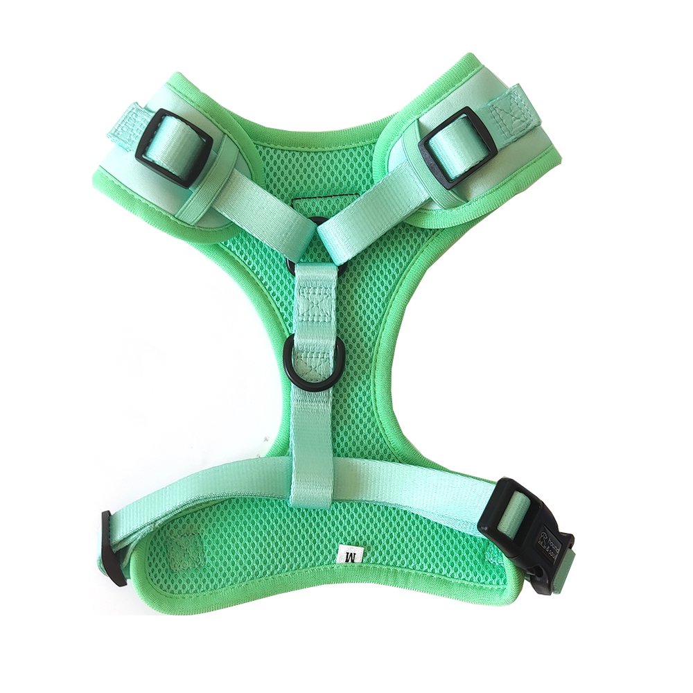 Adjustable Dog Harness - Fresh Teal - Image 3