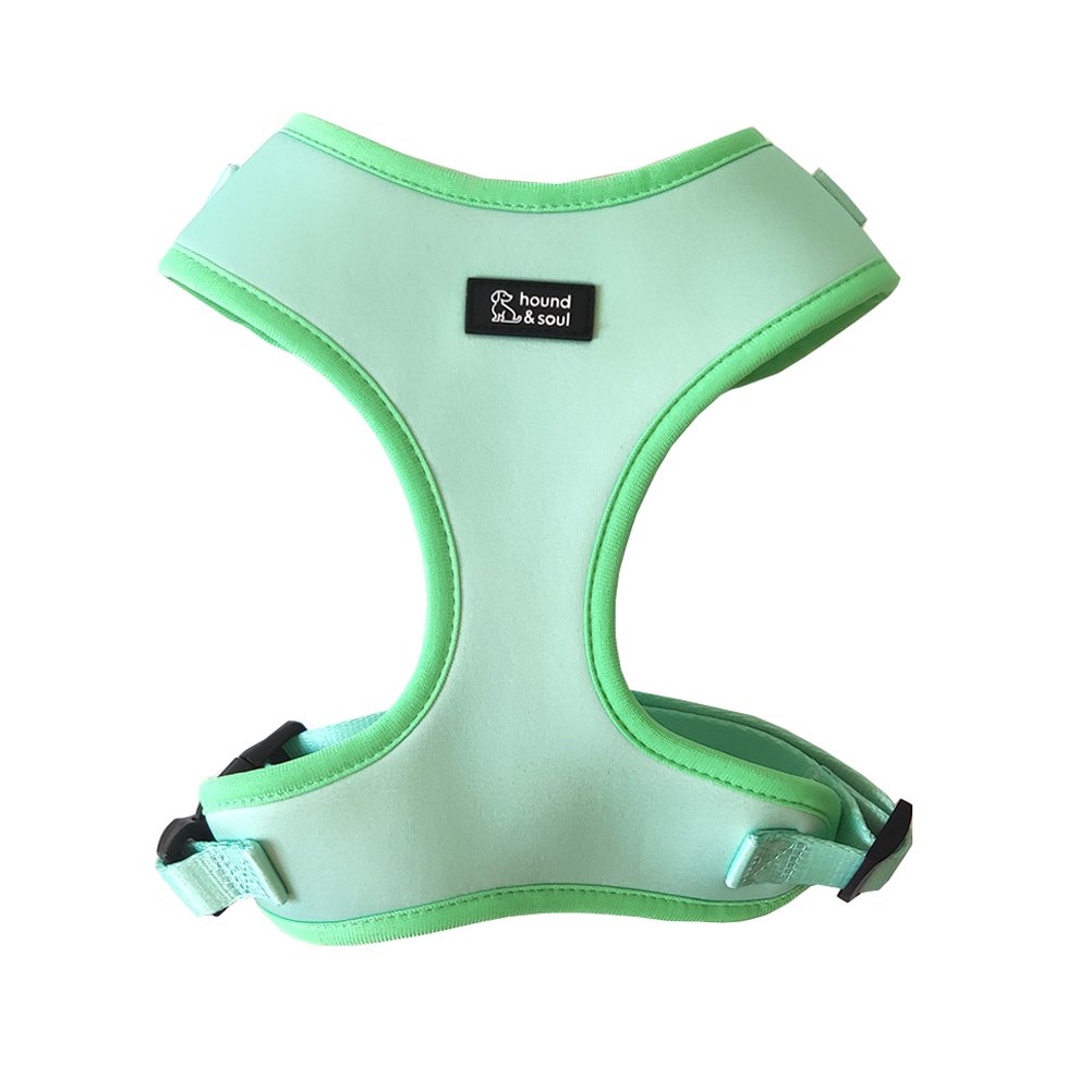 Adjustable Dog Harness - Fresh Teal - Image 2