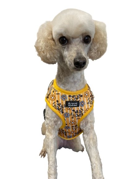 Adjustable Dog Harness - Wild Flower - Image 5