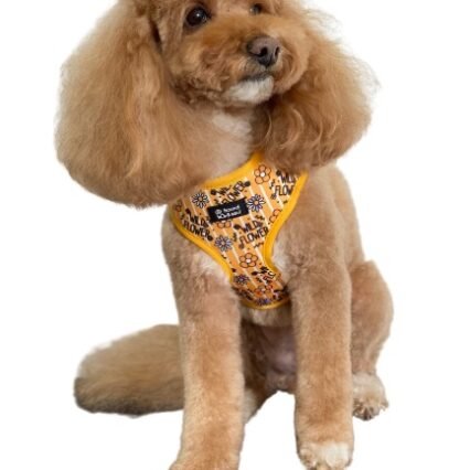 Adjustable Dog Harness - Wild Flower