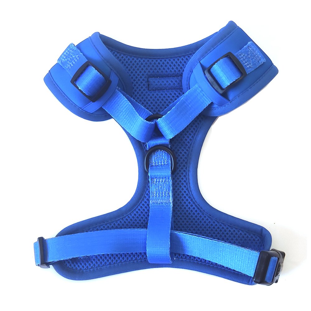 Adjustable Dog Harness Set - Denim Blue - Image 5