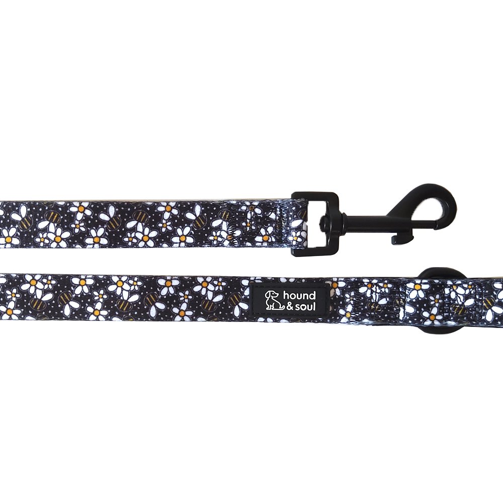 Dog Lead - Bee A Daisy - Image 2