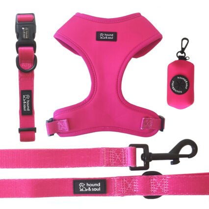 Adjustable Dog Harness Set - Pop Pink