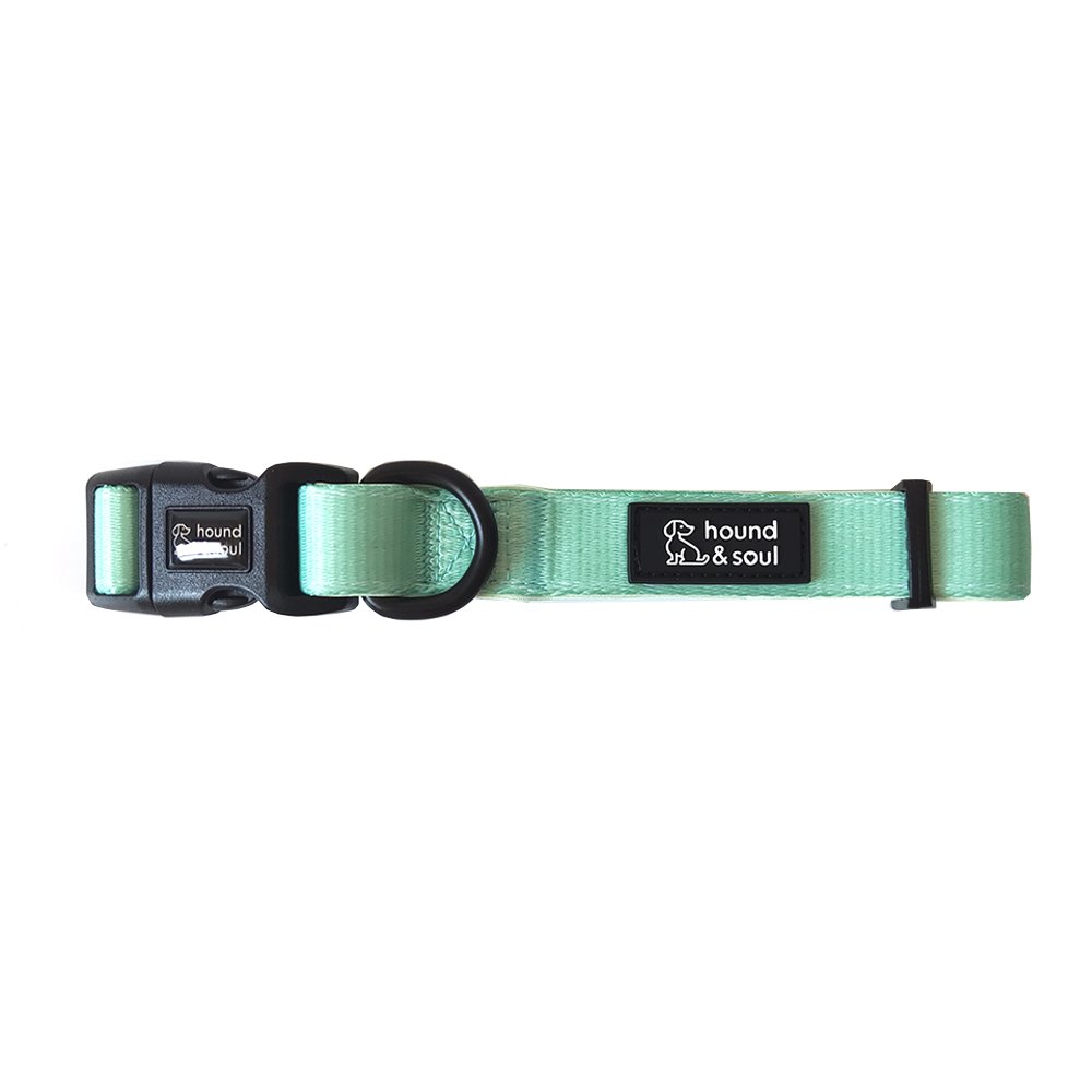 Adjustable Dog Harness Set - Fresh Teal - Image 3