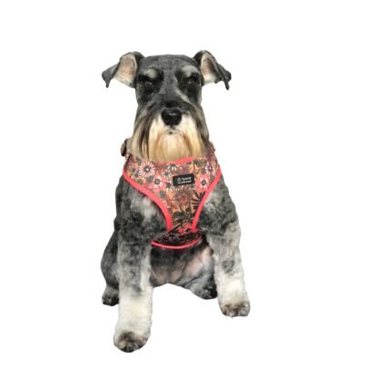 Adjustable Dog Harness - Pick A Posy