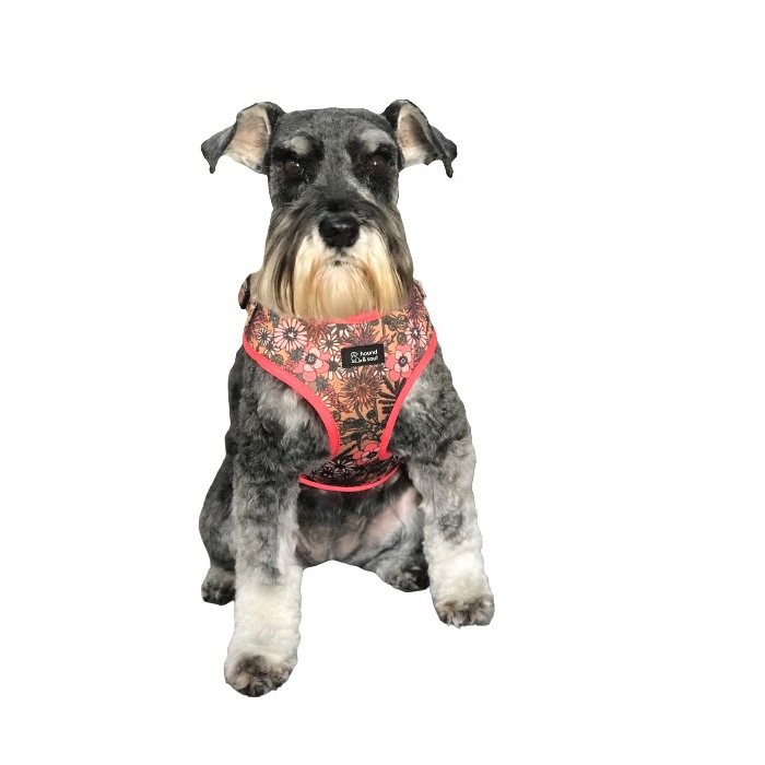 Adjustable Dog Harness - Pick A Posy