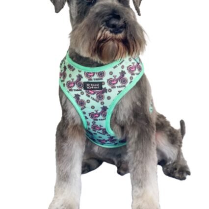 Adjustable Dog Harness - On Ya Bike