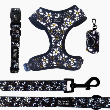 Adjustable Dog Harness Set - Bee A Daisy