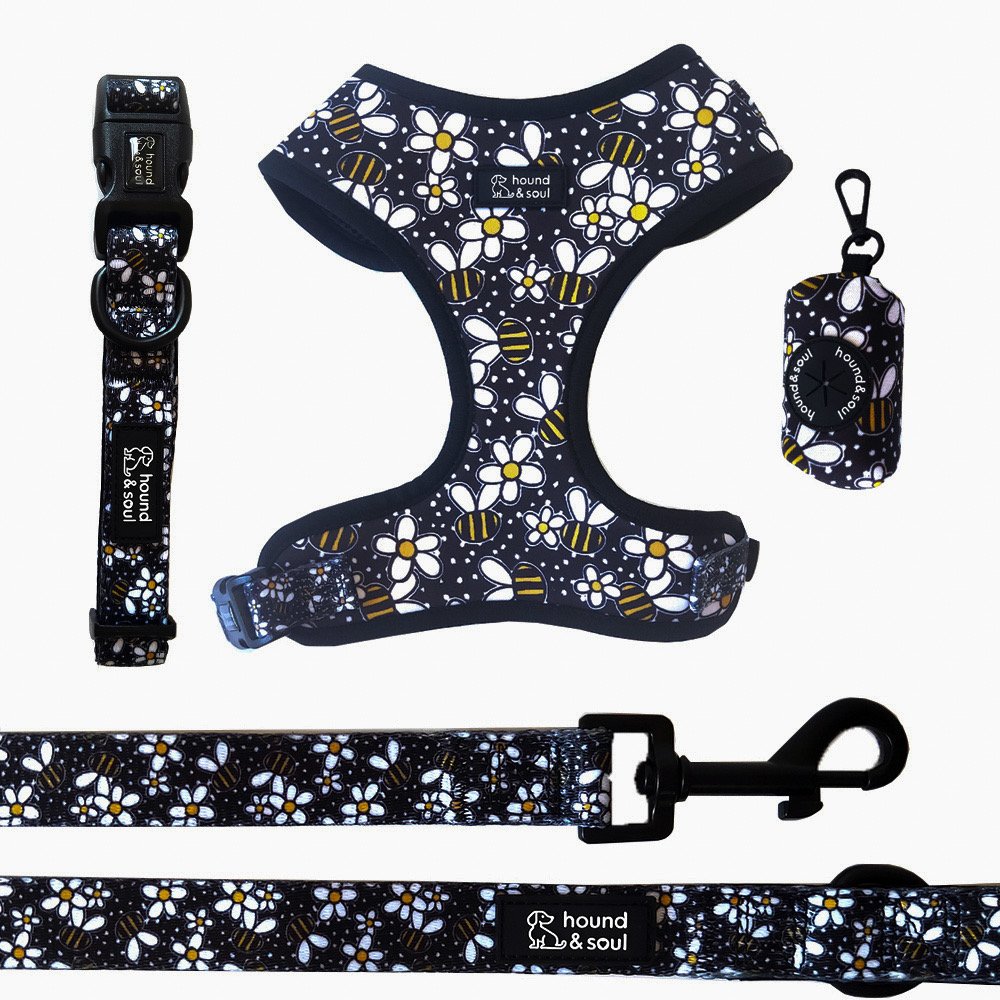Adjustable Dog Harness Set - Bee A Daisy