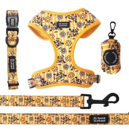 Adjustable Dog Harness Set - Wild Flower
