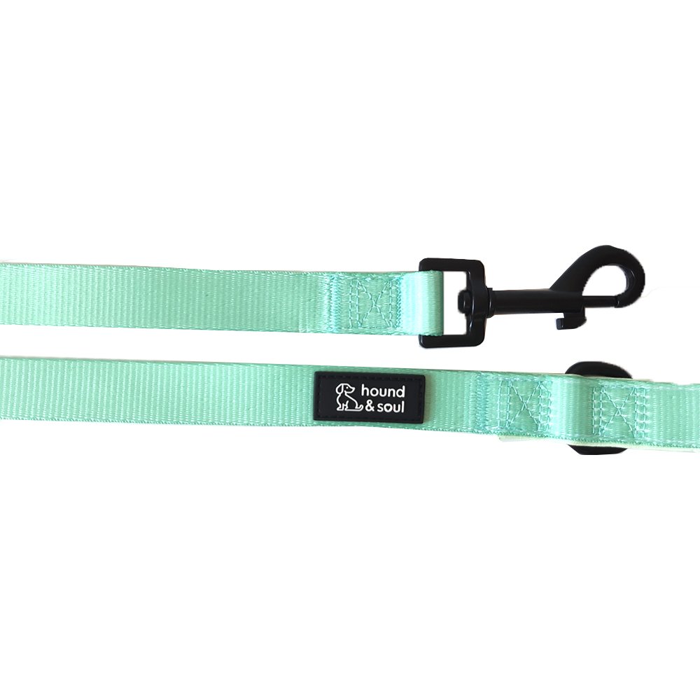 Adjustable Dog Harness Set - Fresh Teal - Image 4