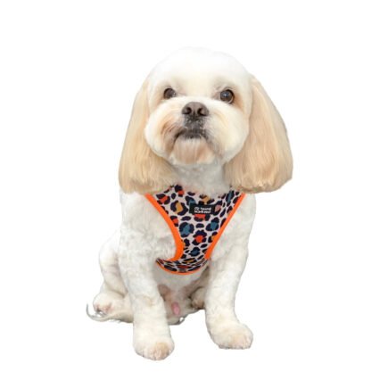 Adjustable Dog Harness - Desert Leopard