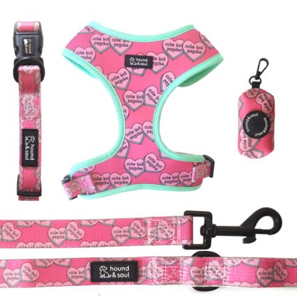 Adjustable Dog Harness Set - Cute But Psycho