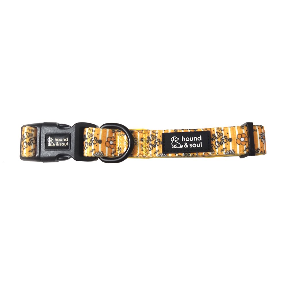 Adjustable Dog Collar - Wild Flower