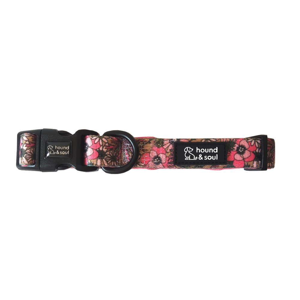 Adjustable Dog Collar - Pick A Posy
