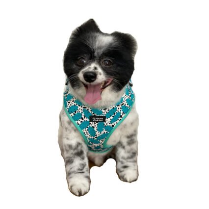 Adjustable Dog Harness - Island Palm