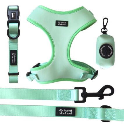 Adjustable Dog Harness Set - Fresh Teal