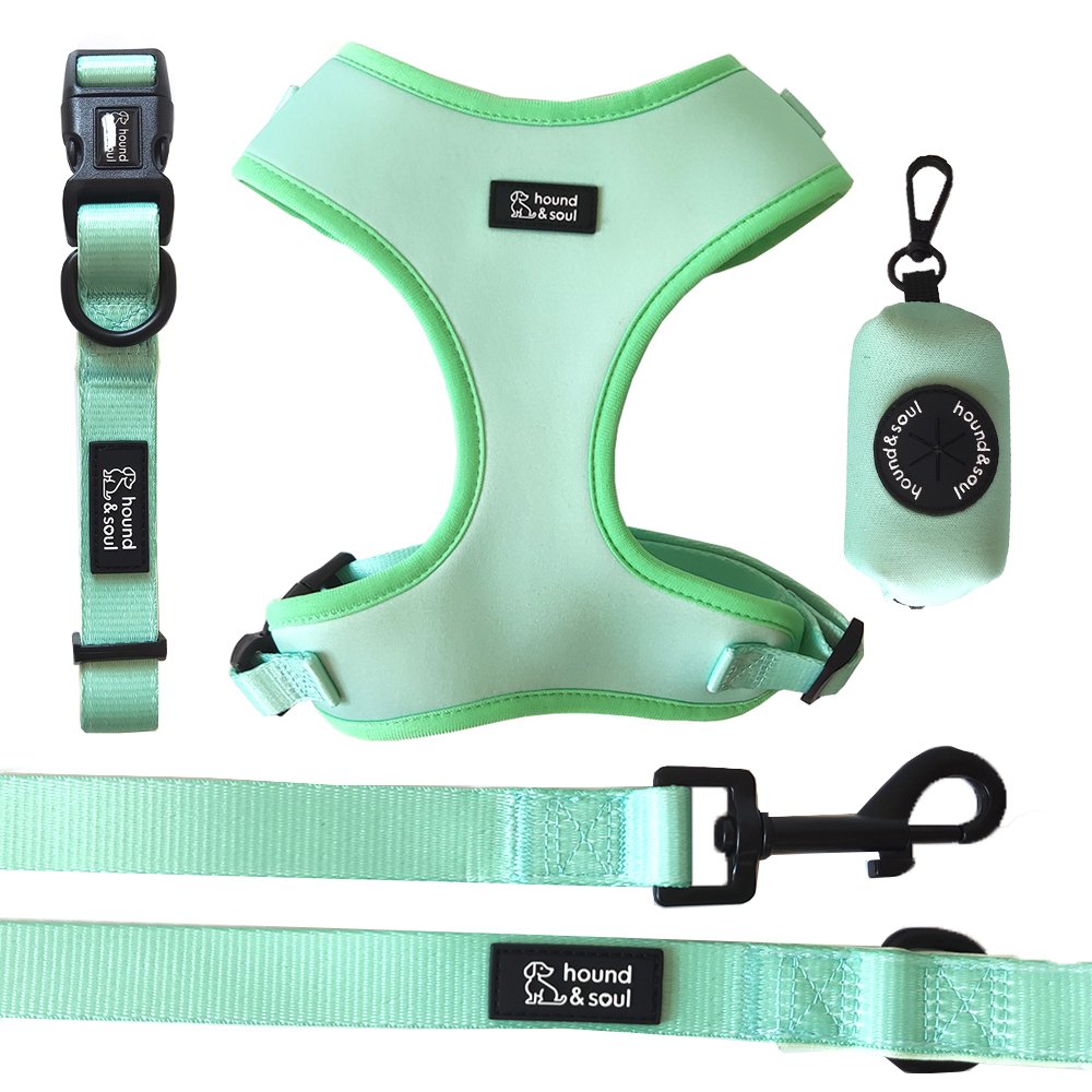 Adjustable Dog Harness Set - Fresh Teal