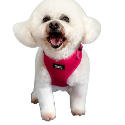 Adjustable Dog Harness - Pop Pink