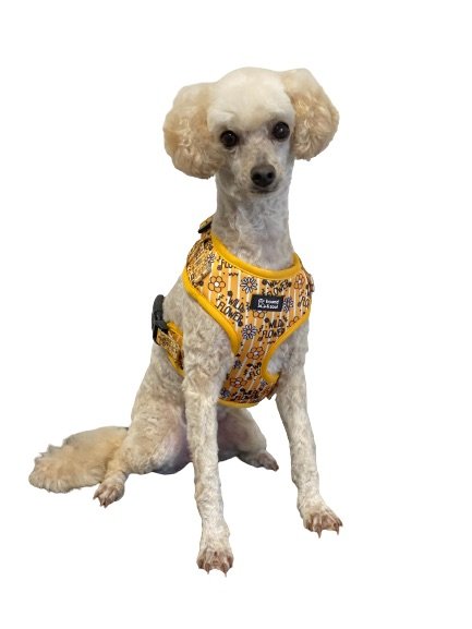 Adjustable Dog Harness - Wild Flower - Image 4