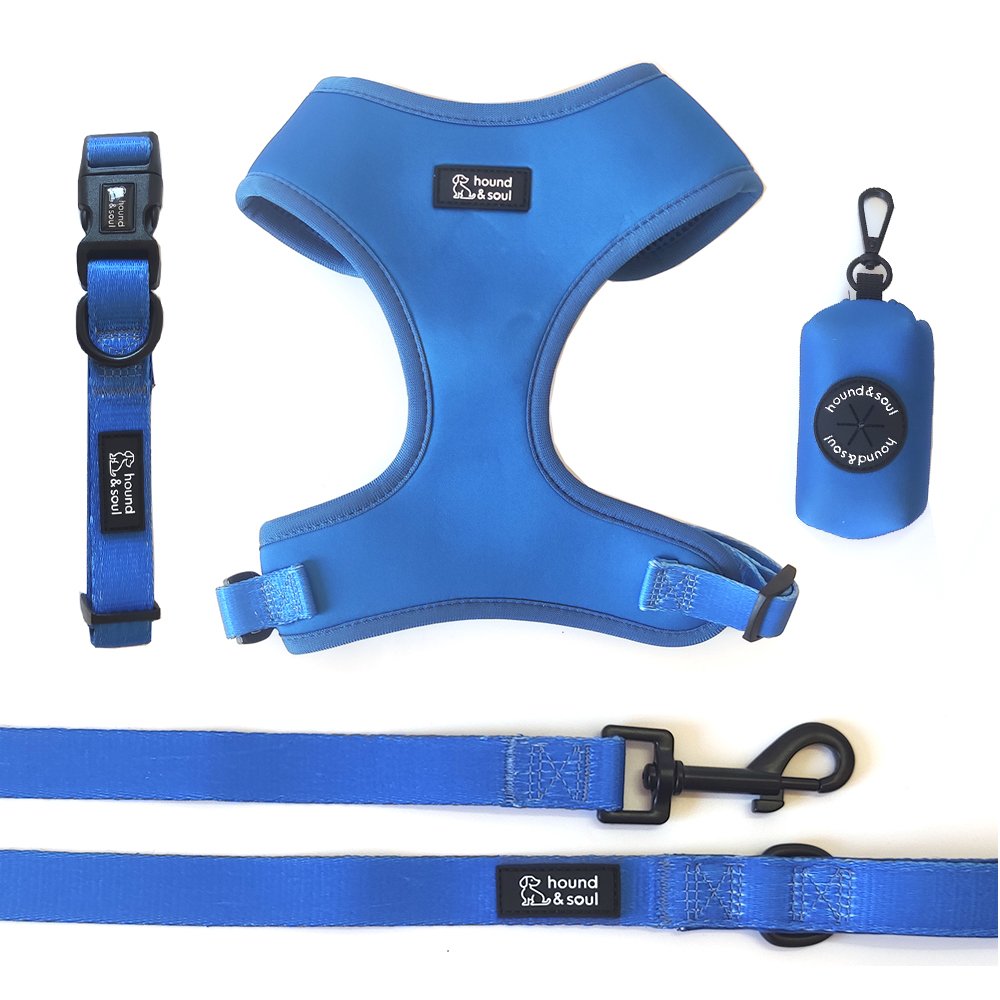 Adjustable Dog Harness Set - Denim Blue