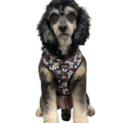 Adjustable Dog Harness - Bee A Daisy