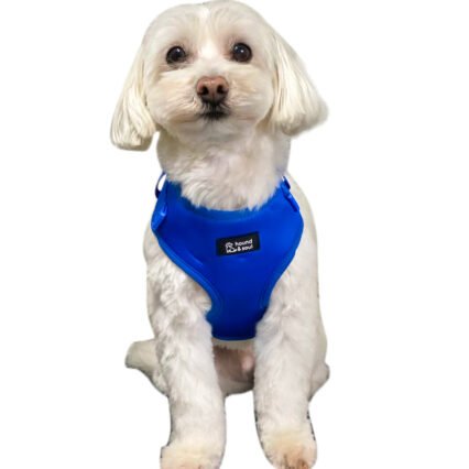 Adjustable Dog Harness - Denim Blue