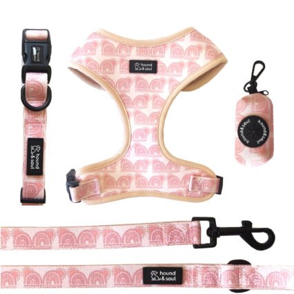 Adjustable Dog Harness Set - Boho Hound