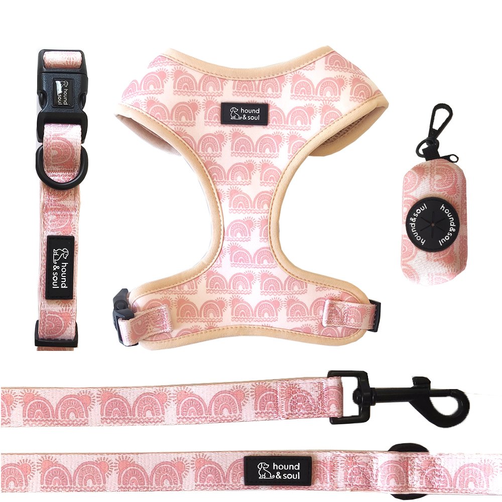 Adjustable Dog Harness Set - Boho Hound