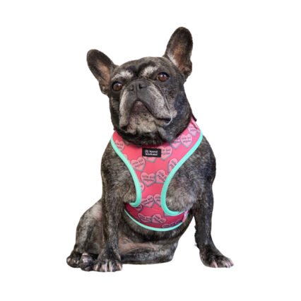 Adjustable Dog Harness - Cute But Psycho