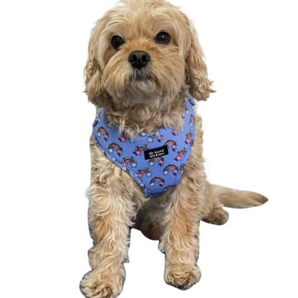 Adjustable Dog Harness - Baby Rainbow