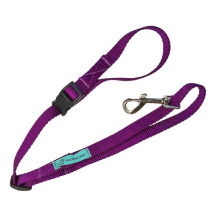 Dog Noose Tether - Purple