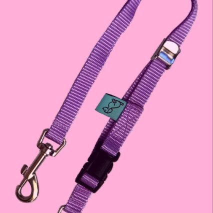 Dog D-Ring Tether - Mauve
