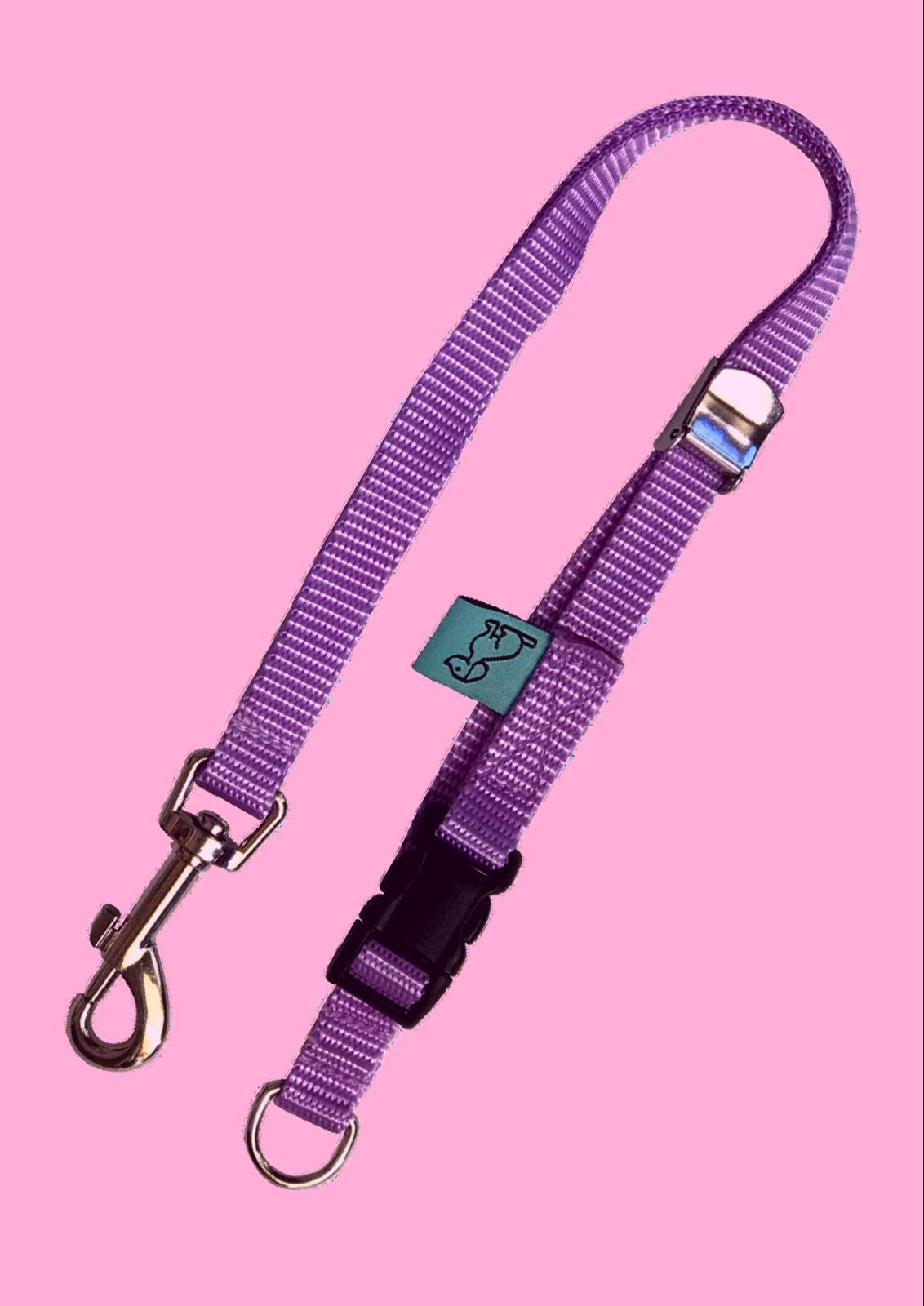 Dog D-Ring Tether - Mauve