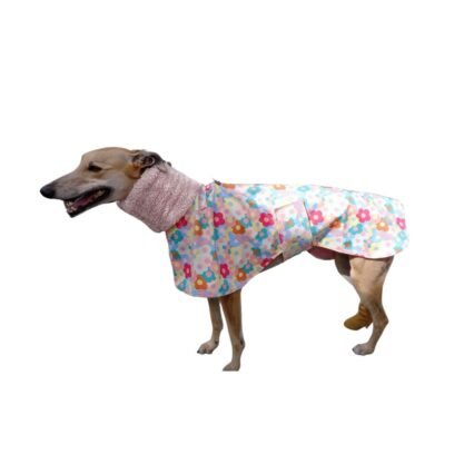 Dog Weather Resistant Greyhound Coat - Coloured Flowers