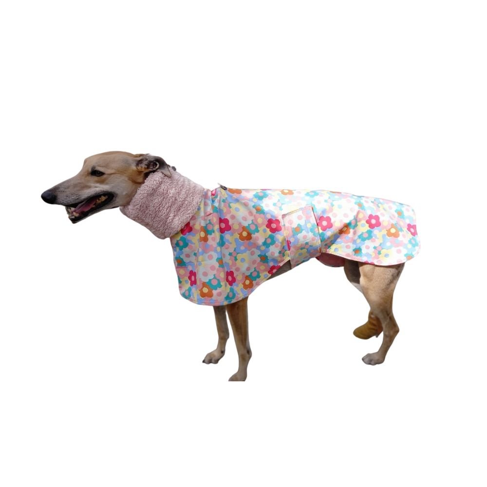 Dog Weather Resistant Greyhound Coat - Coloured Flowers