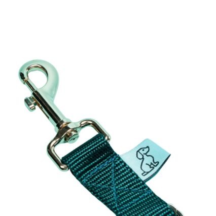 Dog D-Ring Tether - Forest Green