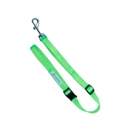 Dog D-Ring Tether - Lime