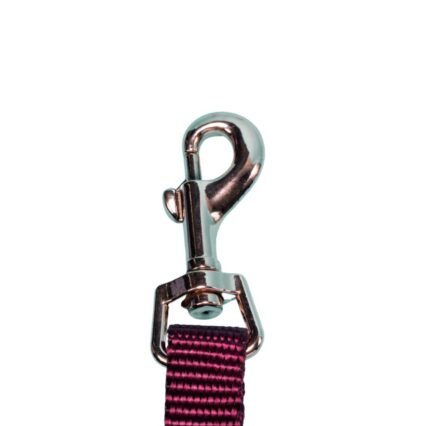 Dog D-Ring Tether - Maroon