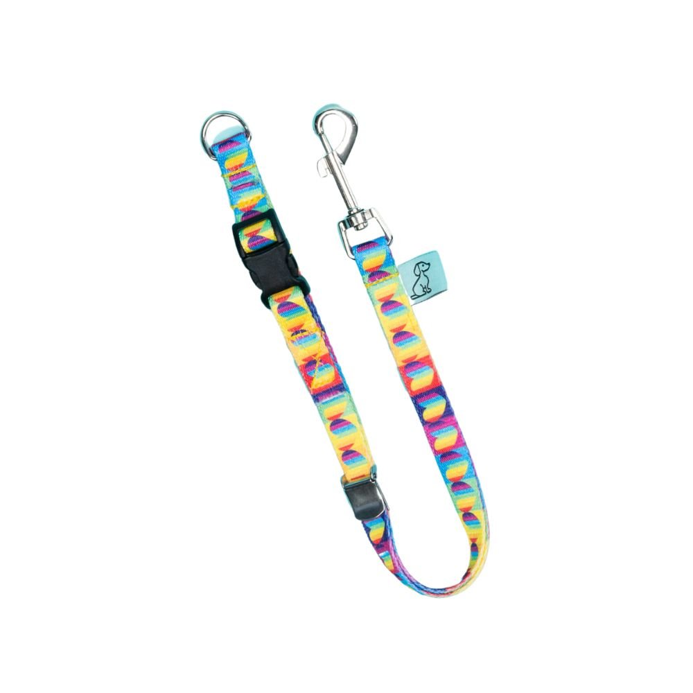 Dog D-Ring Tether - Rainbow Heart