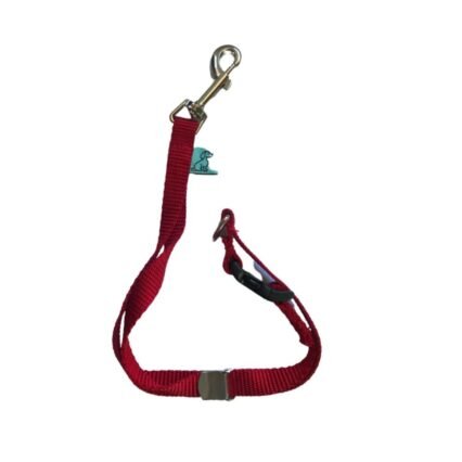 Dog D-Ring Tether - Red