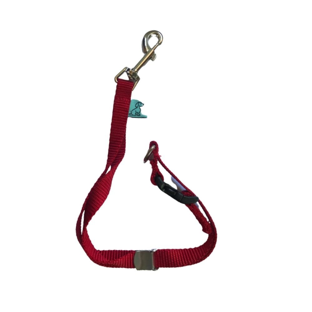 Dog D-Ring Tether - Red
